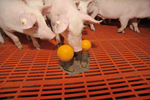 шары-игрушки